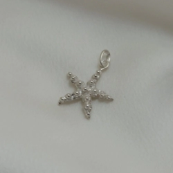 Dije "Estrella de Mar" Modelo N� 2