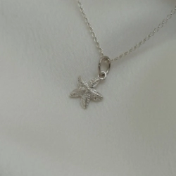 Dije "Estrella de Mar" Modelo N� 1