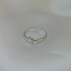 Anillo "Estrella" x2 Modelo N� 1