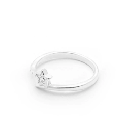 Anillo Estrella  - Modelo N� 1
