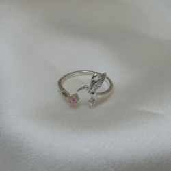 Anillo Colibr�