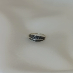 Anillo Pluma