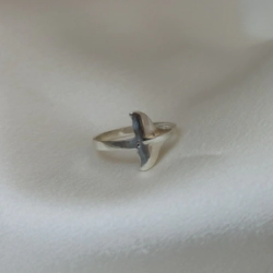 Anillo Cola de Ballena