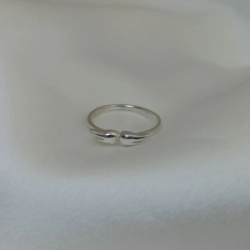 Anillo Alas