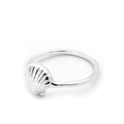 Anillo Ostra
