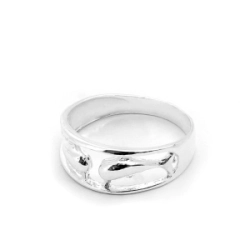 Anillo Ballenas