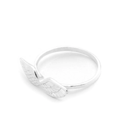 Anillo Alas