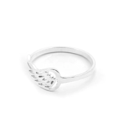 Anillo Alas