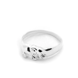 Anillo Elefante