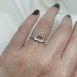 Anillo Cisnes