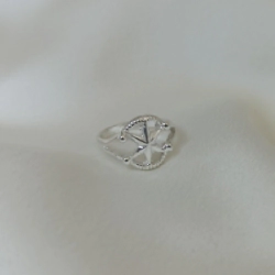 Anillo "Rosa de los Vientos"