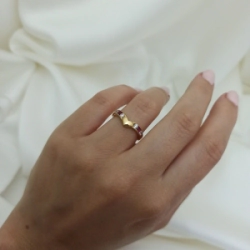 Anillo tipo medio sin fin - Modelo N� 9