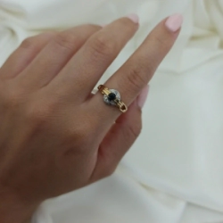 Anillo brillo - Modelo N� 7