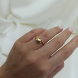 Anillo brillo - Modelo N� 19