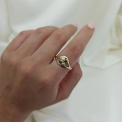Anillo brillo - Modelo N� 20