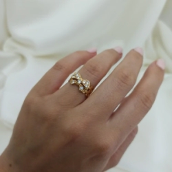 Anillo brillo - Modelo N� 32