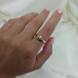 Anillo brillo - Modelo N� 14