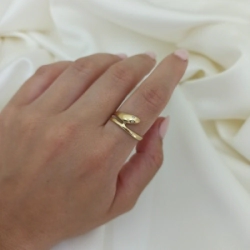 Anillo brillo - Modelo N� 45