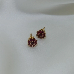 Aro pasante frutilla - Modelo N� 24