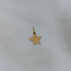 Dije estrella de mar