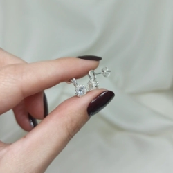 Aros pasantes - Modelo N� 1