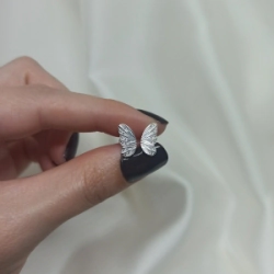 Aros pasantes alitas -  Modelo N� 44
