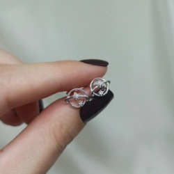 Aros pasantes  -  Modelo N� 68