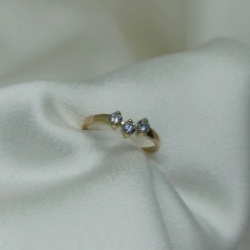 Anillo brillo - Modelo N� 51