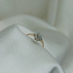 Anillo brillo - Modelo N� 53