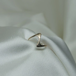 Anillo Liso - Modelo N� 42