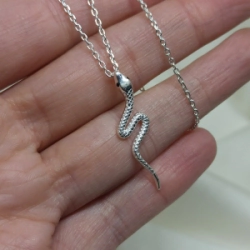 Conjunto Cadena + Dije - Serpiente
