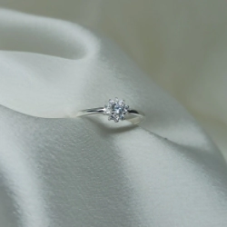 Anillo Micro - Modelo N� 33