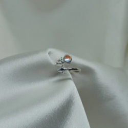 Anillo Micro astronauta - Modelo N� 04