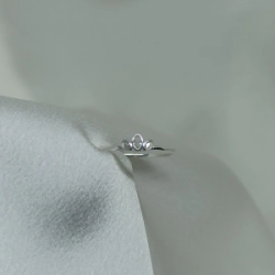 Anillo Micro - Modelo N� 10
