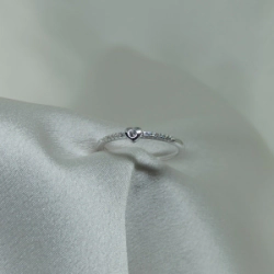 Anillo Micro - Modelo N� 11