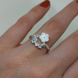 Anillo Micro - Modelo N� 15