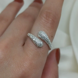Anillo Micro - Modelo N� 17