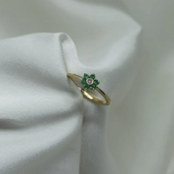 Anillo brillo - Modelo N� 33