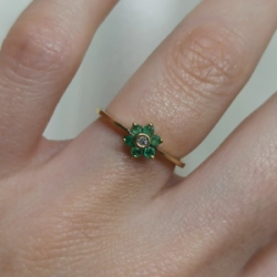 Anillo brillo - Modelo N� 33
