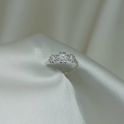 Anillo Micro flores - Modelo N� 31
