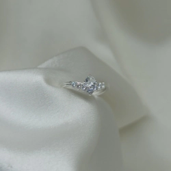 Anillo Micro - Modelo N� 58
