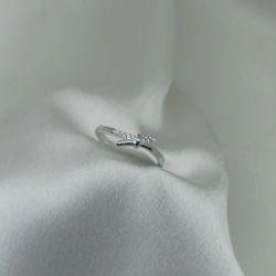 Anillo Micro - Modelo N� 61