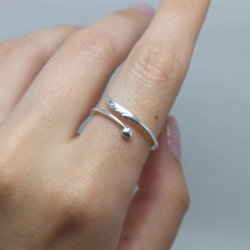 Anillo ala - Modelo N� 18