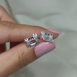 Aros pasantes Cangrejo - Modelo N� 34