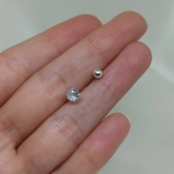 Piercing - Modelo N� 53