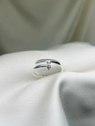 Anillo - Modelo N� 01