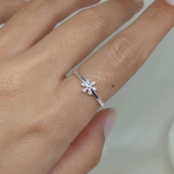 Anillo - Modelo N� 15