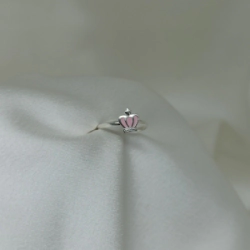 Anillo - Modelo N� 17
