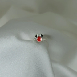 Anillo - Modelo N� 21