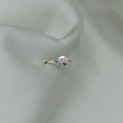 Anillo - Modelo N� 22
